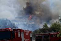 Πολύ υψηλός κίνδυνος φωτιάς σήμερα - Ποιες περιοχές είναι στην «κατηγορία 4»