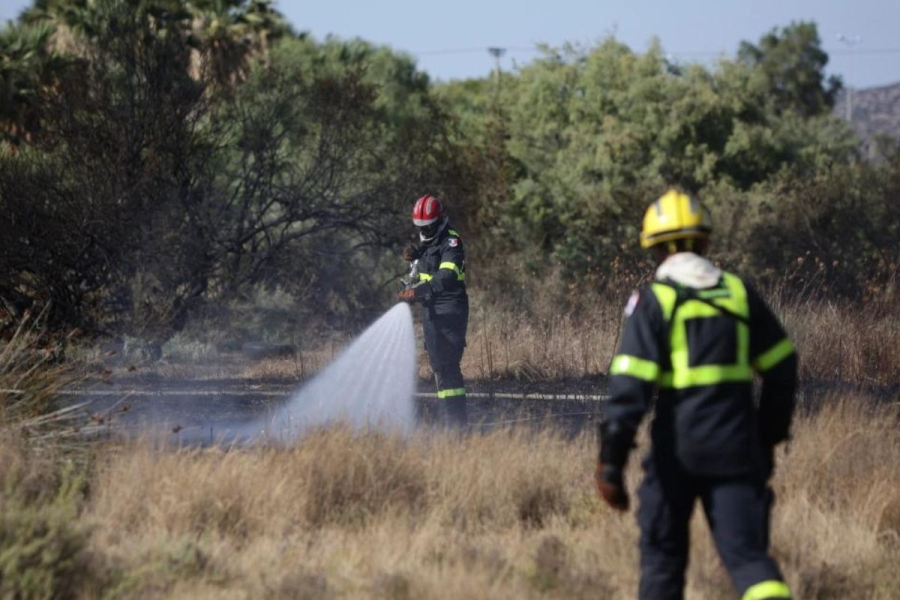 Φωτιά τώρα στην Χαλκιδική - Συναγερμός στην Πυροσβεστική