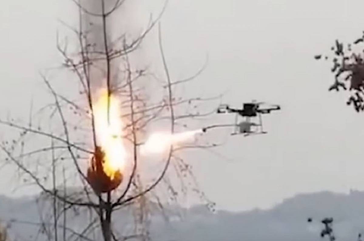 Drones-εξολοθρευτές «εξαφανίζουν» φωλιές με σφήκες (Βίντεο)
