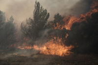 Φωτιά στον Έβρο: Προσήχθησαν 5 άτομα