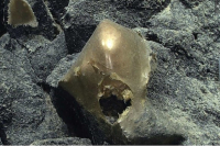 Μυστήριο με χρυσή σφαίρα στον πυθμένα του Ειρηνικού – «Είναι βιολογικής προέλευσης»