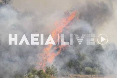 Συναγερμός για μεγάλη φωτιά στην Ηλεία: Εντολή εκκένωσης οικισμού