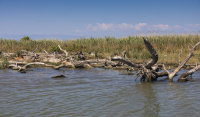 Θεσσαλονίκη: Έρευνες στον Αξιό ποταμό για την εξαφάνιση 50χρονου