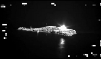 Κίεβο: «Η Ρωσία έριξε βόμβες φωσφόρου το Φιδονήσι» - Το βίντεο που δημοσίευσε