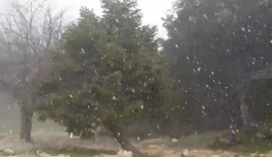 Χιονίζει τώρα στην Πάρνηθα - Δείτε εικόνα