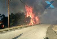 Μεγάλη φωτιά στις Σάππες Ροδόπης - Συνεχίζουν τη «μάχη» οι πυροσβέστες