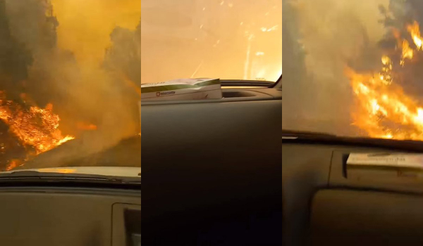 Φωτιά στην Αρκαδία: Η στιγμή που αυτοκίνητο περνά μέσα από τις φλόγες – Το συγκλονιστικό βίντεο