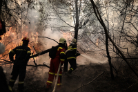Νότια Εύβοια: Υπό έλεγχο η φωτιά στις Πετριές
