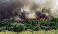 Ρόδος: Αναζωπύρωση της πυρκαγιάς στην Ψίνθο – Εκκενώθηκε το χωριό