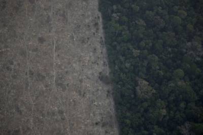 Το μέγεθος της καταστροφής του Αμαζονίου από ψηλά
