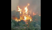 Φωτιά στη Ρόδο: Εκτός ελέγχου τα πύρινα μέτωπα - Εκκενώθηκαν 3 χωριά και αρχαιολογικός χώρος