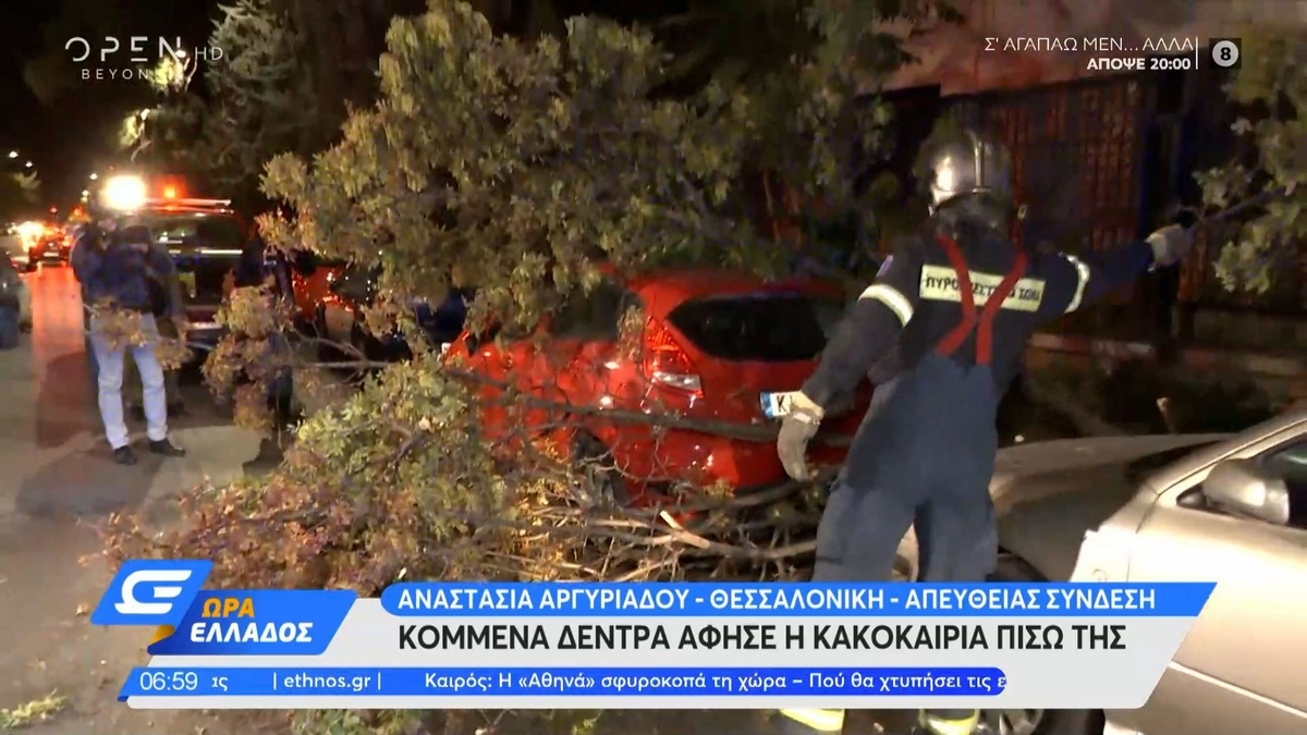 Κακοκαιρία «Αθηνά»: Πτώσεις δέντρων στη Θεσσαλονίκη και ζημιές σε αυτοκίνητα
