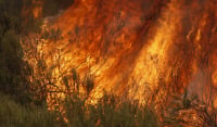 Φωτιές: Υψηλός κίνδυνος την Τετάρτη 17/8 - Οι περιοχές