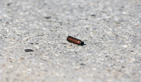 Πυροβολισμοί χθες τα μεσάνυχτα στο Χαλάνδρι – Βρέθηκαν 2 φυσίγγια