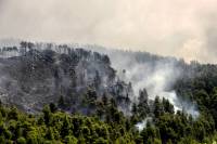 Ανεξέλεγκτες οι φωτιές σε Εύβοια και Θήβα - Τι συμβαίνει σε όλα τα πύρινα μέτωπα