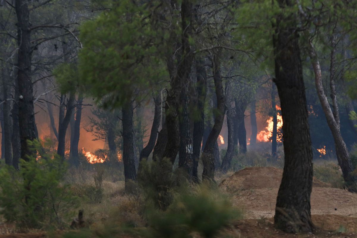 Μεγάλη αναζωπύρωση στην Πάρνηθα: Κίνδυνος επέκτασης της φωτιάς στους Θρακομακεδόνες
