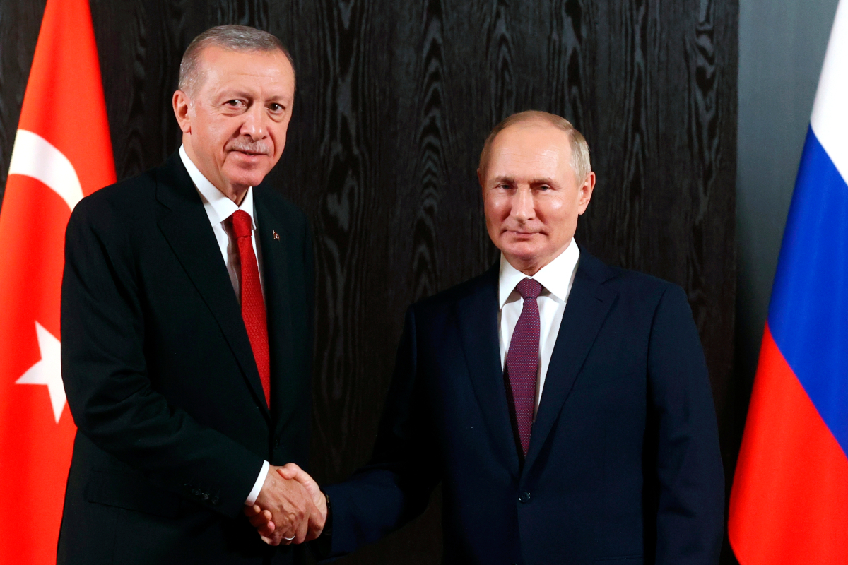 Ερντογάν: Ο Πούτιν συμφώνησε για επέκταση της συμφωνίας για τα σιτηρά της Μαύρης Θάλασσας