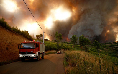 Πελοπόννησος: Άρχισε η καταγραφή ζημιών στις πυρόπληκτες περιοχές – Ανάγκη για ζωοτροφές