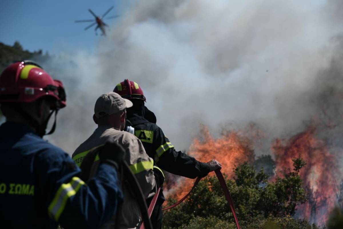 Φωτιά σε δασική έκταση στην Αχαΐα - Ισχυρές δυνάμεις της Πυροσβεστικής