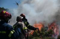 Φωτιά σε δασική έκταση στην Αχαΐα - Ισχυρές δυνάμεις της Πυροσβεστικής