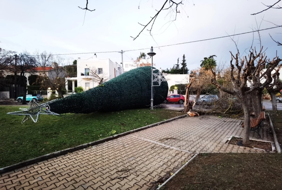 Προβλήματα και στην Αθήνα από την κακοκαιρία – Έπεσαν δέντρα από τους ανέμους (εικόνες, βίντεο)
