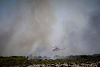 Φωτιά στο Λαύριο: Μάχη της Πυροσβεστικής στον εθνικό δρυμό Σουνίου