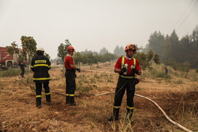 Φωτιές: Ισχυρές δυνάμεις της Πυροσβεστικής εξακολουθούν να επιχειρούν στην Πελοπόννησο