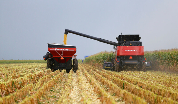 Γειτονικές χώρες της Ουκρανίας απαγορεύουν τις εισαγωγές των σιτηρών της