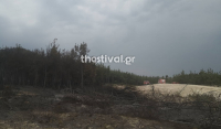 Φωτιά στο δάσος της Δαδιάς: Άρχισε να βρέχει στην περιοχή - Δεν μπορούν να πετάξουν τα εναέρια