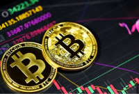 Bitcoin - Crypto: «Καπνός» 200 δισ. δολ. σε λίγες ώρες, σεισμός στα χρηματιστήρια