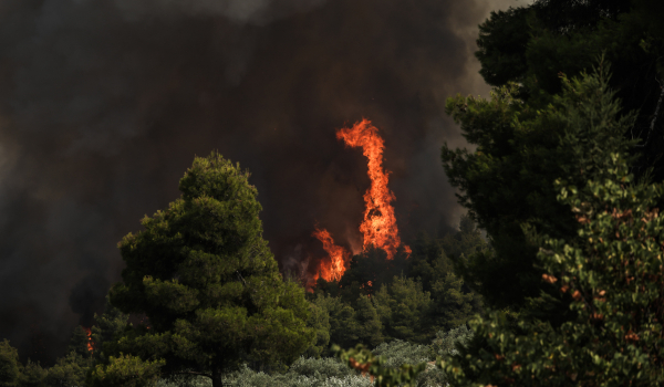 Πύρινη κόλαση στην Εύβοια: Δραματικές ώρες από τη φωτιά για Αμελάντες - Σκεπαστή