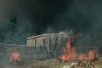 Φωτιά στα Καλύβια: Το μήνυμα από το 112 για εκκένωση οικισμών