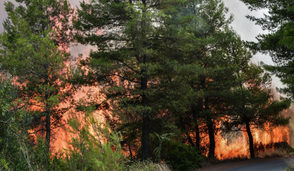 Πολύ υψηλός κίνδυνος πυρκαγιάς αύριο για Αττική κι άλλες τρεις Περιφέρειες