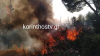 Μέσα στα σπίτια η φωτιά στα Ίσθμια Κορινθίας - Μάχη με τις φλόγες, εκκενώθηκε οικισμός