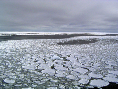 Ανταρκτική: Σε ιστορικό χαμηλό οι πάγοι - «Ακραία κατάσταση», δηλώνουν επιστήμονες