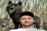 Ρώσος διατηρεί λύκους ως κατοικίδια