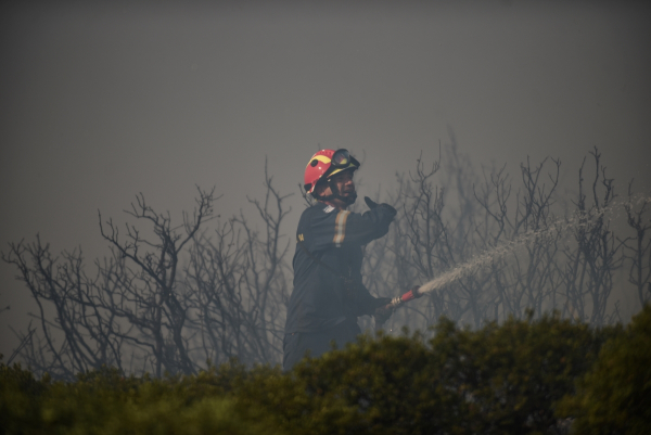 Φωτιά σε δασική έκταση στο Καλαμάκι στο Κιλελέρ
