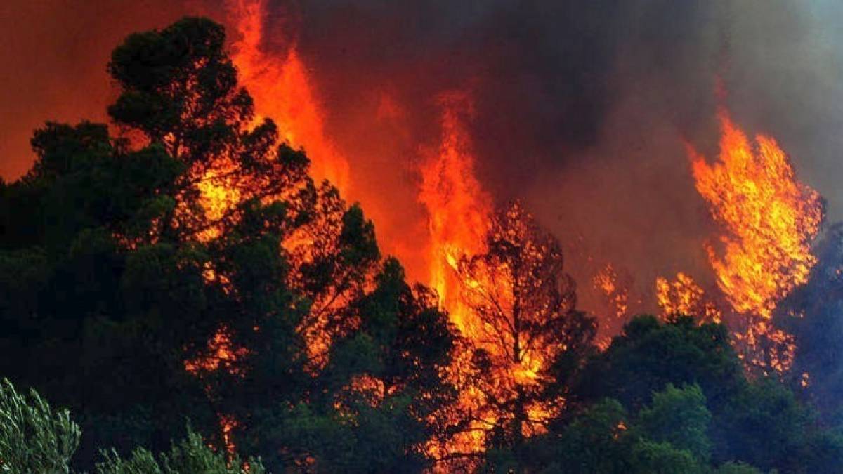 Κεφαλονιά: Μαίνεται η μεγάλη φωτιά - Εντολή εκκένωσης οικισμού