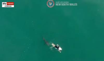 Drone καταγράφει την «καταδίωξη» σέρφερ από καρχαρία