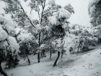 Χιόνια σε Κρήτη, Πελοπόννησο, Εύβοια: Πού χρειάζονται αλυσίδες - Πότε η κακοκαιρία «χτυπά» την Αττική
