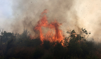 Φωτιά στα Δερβενοχώρια: Εντολή εκκένωσης του οικισμού Λεύκα, πόρτα-πόρτα οι αστυνομικοί βγάζουν τον κόσμο