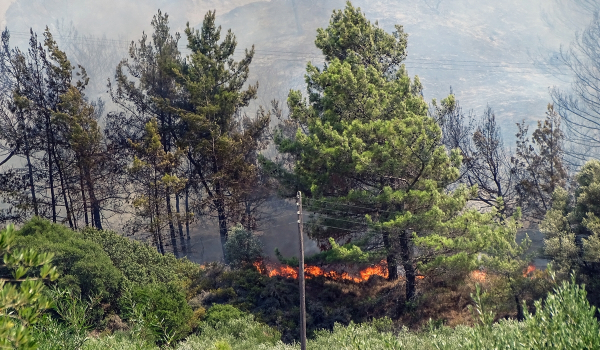 Φωτιά στη Ρόδο: Εκκενώνεται κι άλλο χωριό - Μάχη με τις αναζωπυρώσεις στο νησί