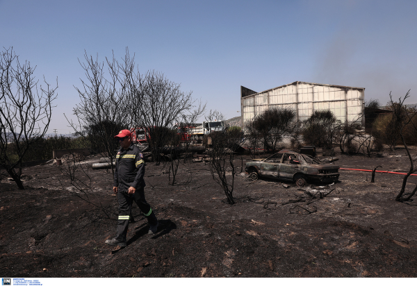 Νέα Αγχίαλος: Εικόνες βιβλικής καταστροφής από το πέρασμα της φωτιάς στη βιομηχανική ζώνη