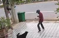 Μεθυσμένος αλλά ατρόμητος: Προσποιήθηκε κινήσεις κουνγκ φου και τρόμαξε τα σκυλιά (Βίντεο)