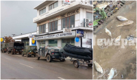 Συγκλονιστικές εικόνες από τον Βόλο: Hummer, βάρκες, ερπυστριοφόρα στους δρόμους - Ψάρια σπαρταράνε στα πεζοδρόμια