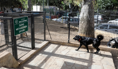 Νέα Σμύρνη: Κλειστό από σήμερα 1/11 τo πάρκο σκύλων του δήμου