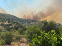 Φωτιά στη Μεσσηνία: Διάσπαρτες εστίες - Εκκενώθηκε η Χρυσοκελλαριά (Βίντεο)