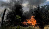 Πολύ υψηλός κίνδυνος πυρκαγιάς αύριο για Αττική κι άλλες πέντε Περιφέρειες