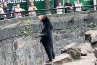 Αρκούδα ή άνθρωπος με κοστούμι; Στην Κίνα έβγαλαν ανακοίνωση μετά από viral βίντεο που διχάζει