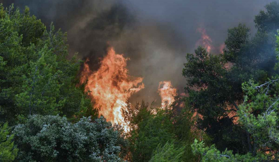 Φωτιά στη Γορτυνία: Ολονύχτια μάχη με τις φλόγες - Ξεκίνησαν να επιχειρούν τα εναέρια μέσα